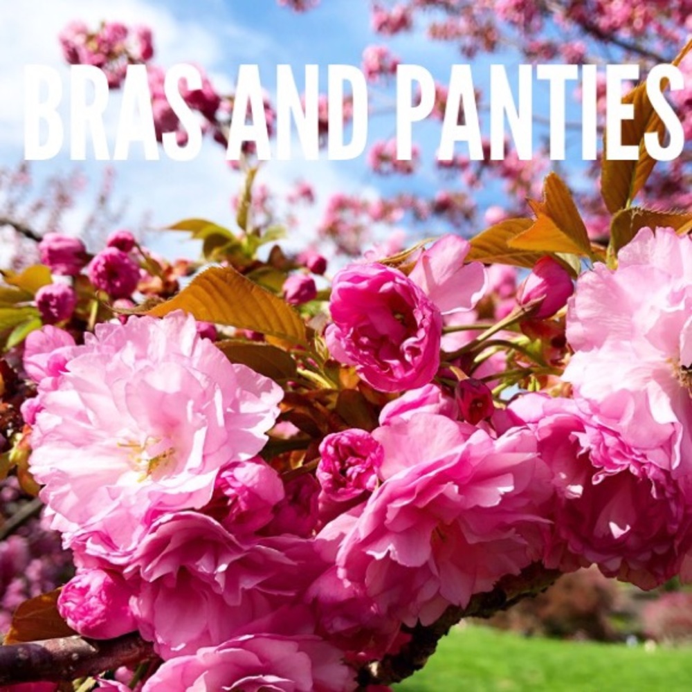 BRAS AND PANTIES 👙